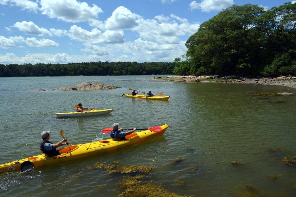 Scenic Forest Trails