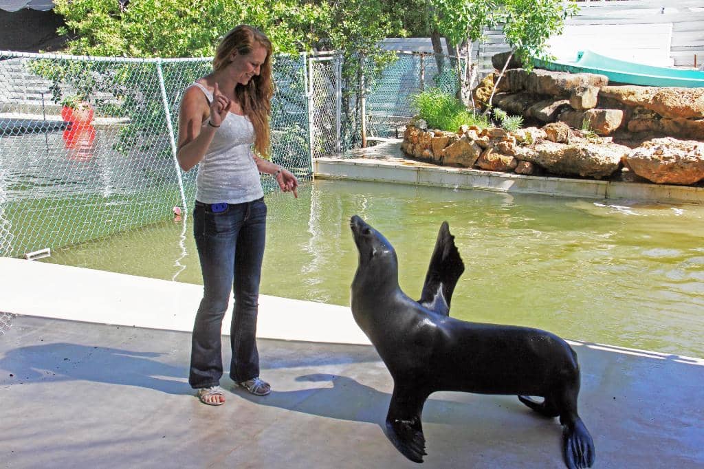 Architectural Beauty