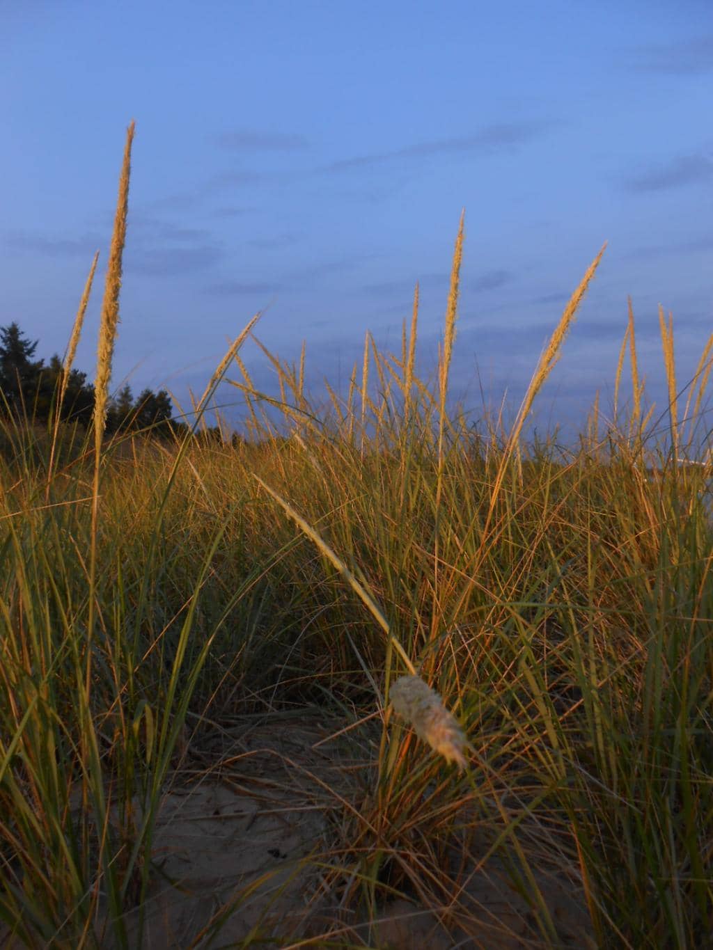 Lake Huron Beach