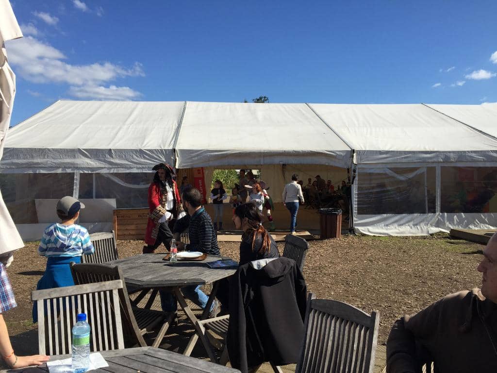 Escape Wooden Labyrinth