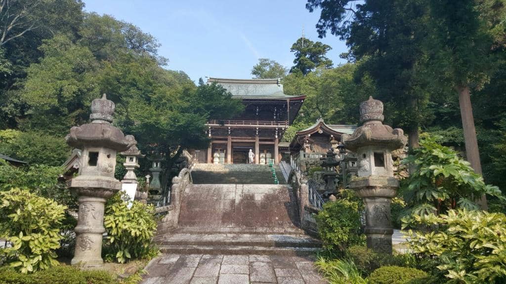 Panoramic City Views