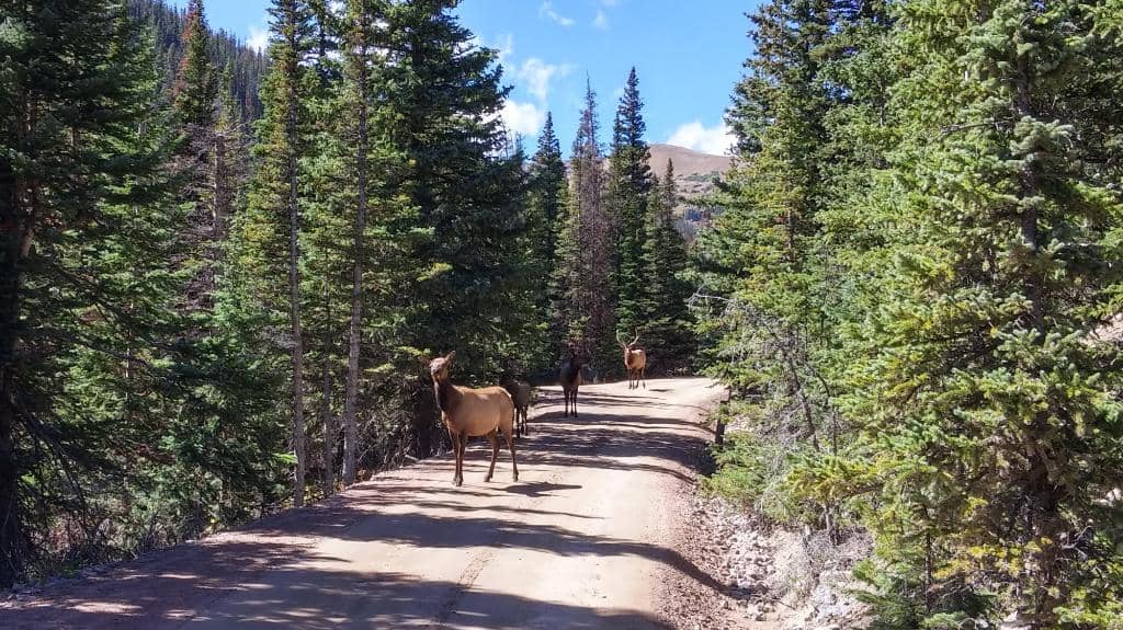 Alpine Visitor Center