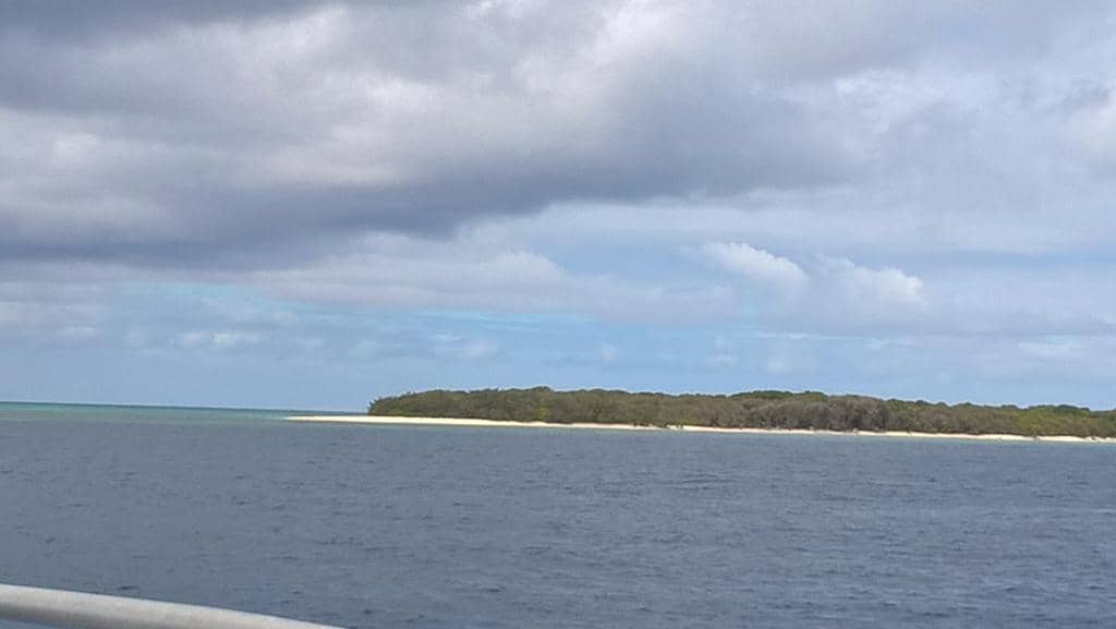 Island Exploration & Birdlife