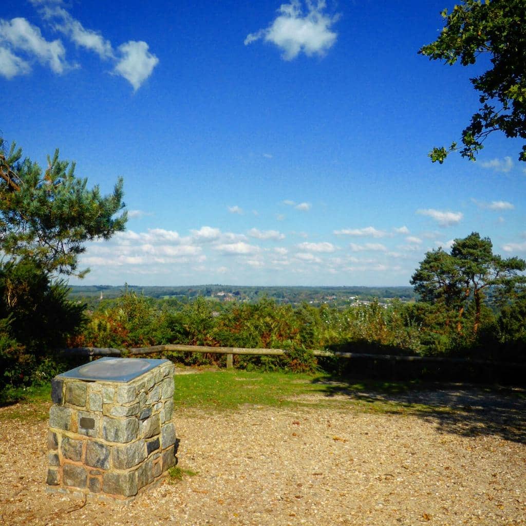 Children's Play Area