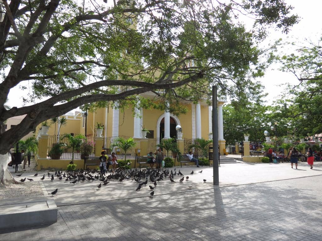 Modern yet Welcoming Architecture