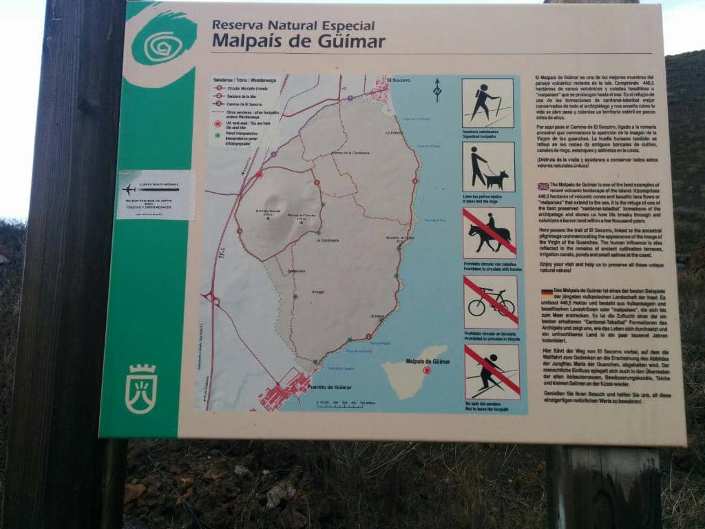 Unique Flora and Fauna