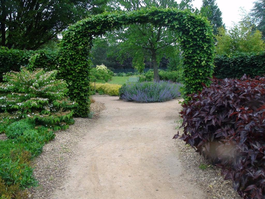 Children's Playground