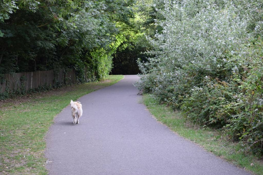 Italianate Glasshouse Cafe