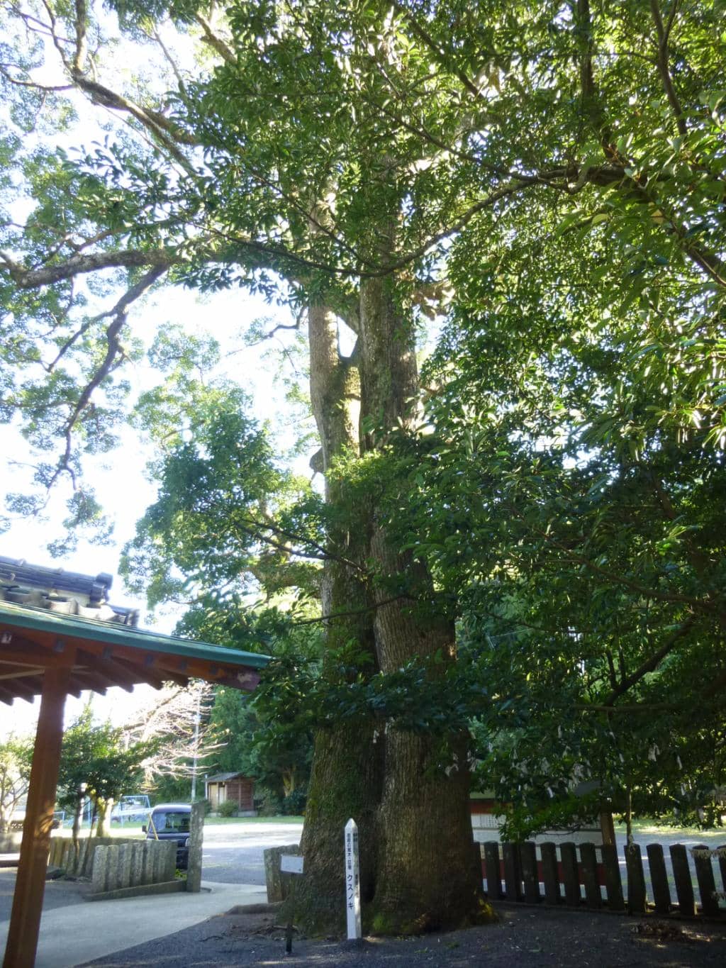 Vertical photo