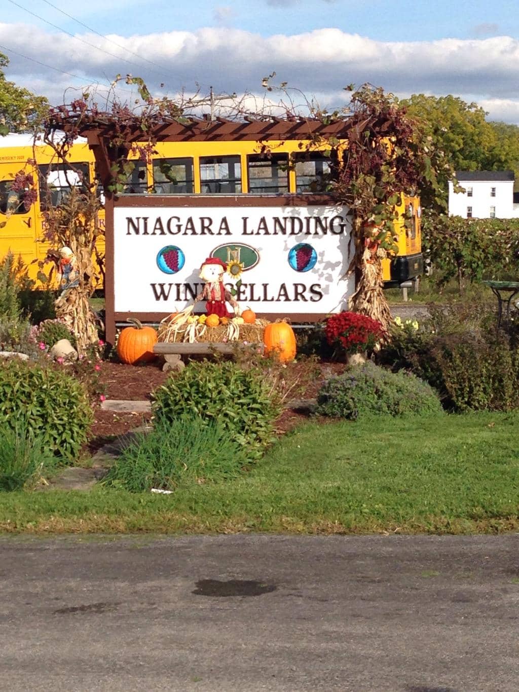 Local Winery Experiences