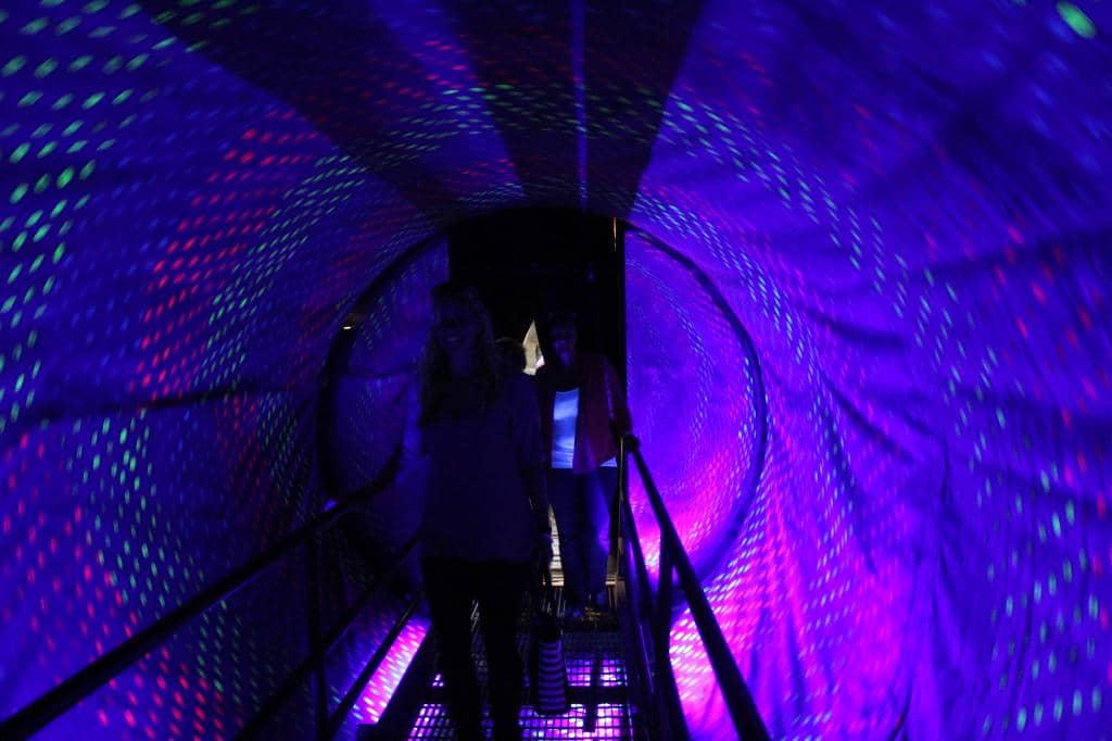 Apple Cider Donuts & Cider