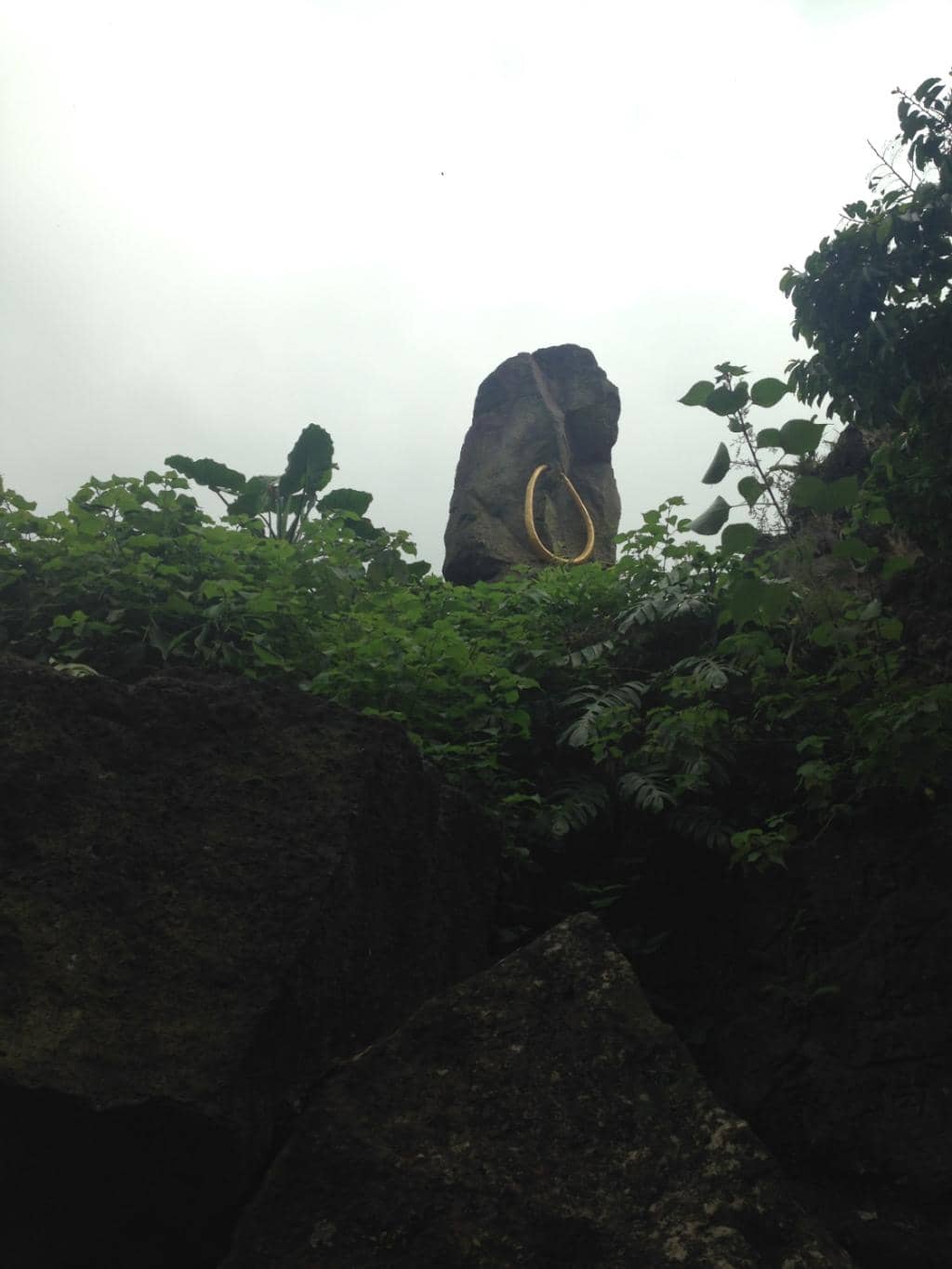 Lush Volcanic Craters