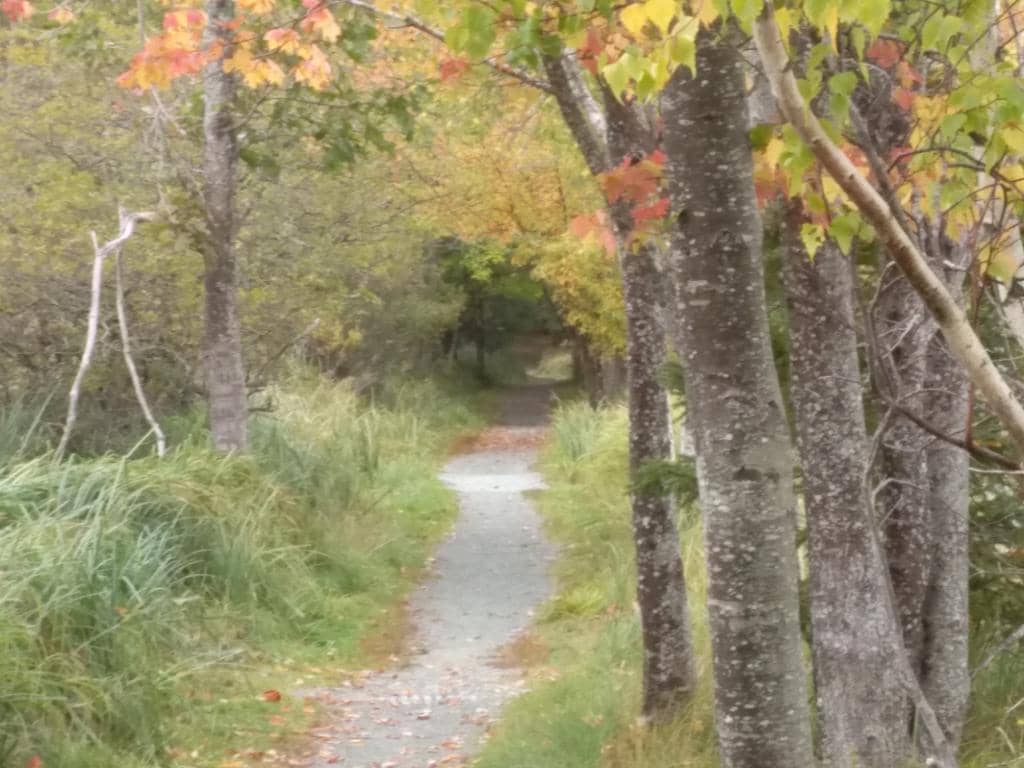 Nature Center