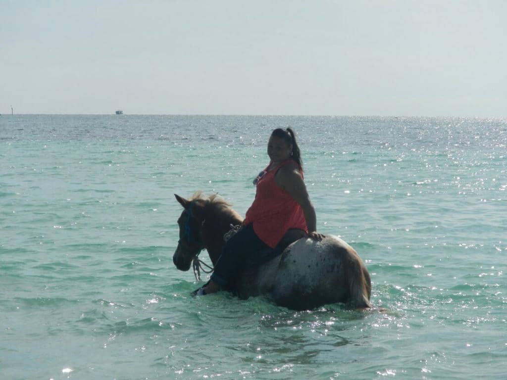 Island History & Nature Tour