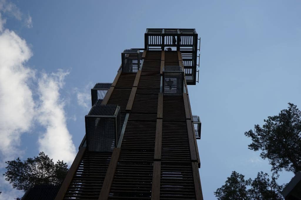 Dzintari Forest Park