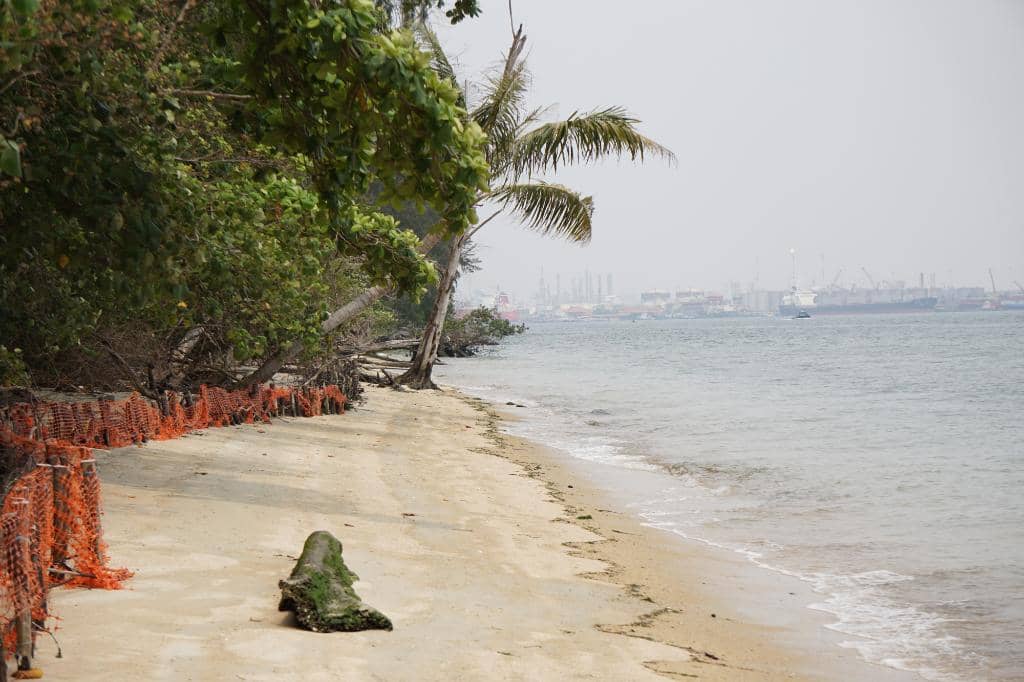 Coney Island Boardwalk