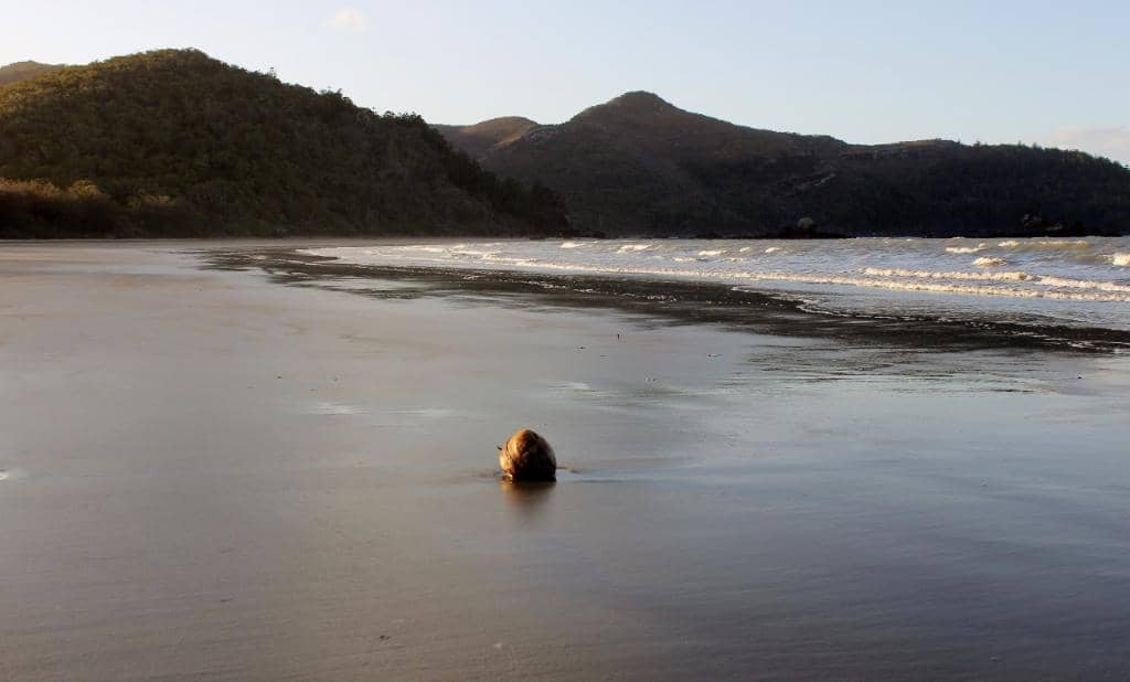 Andrews Point Lookout