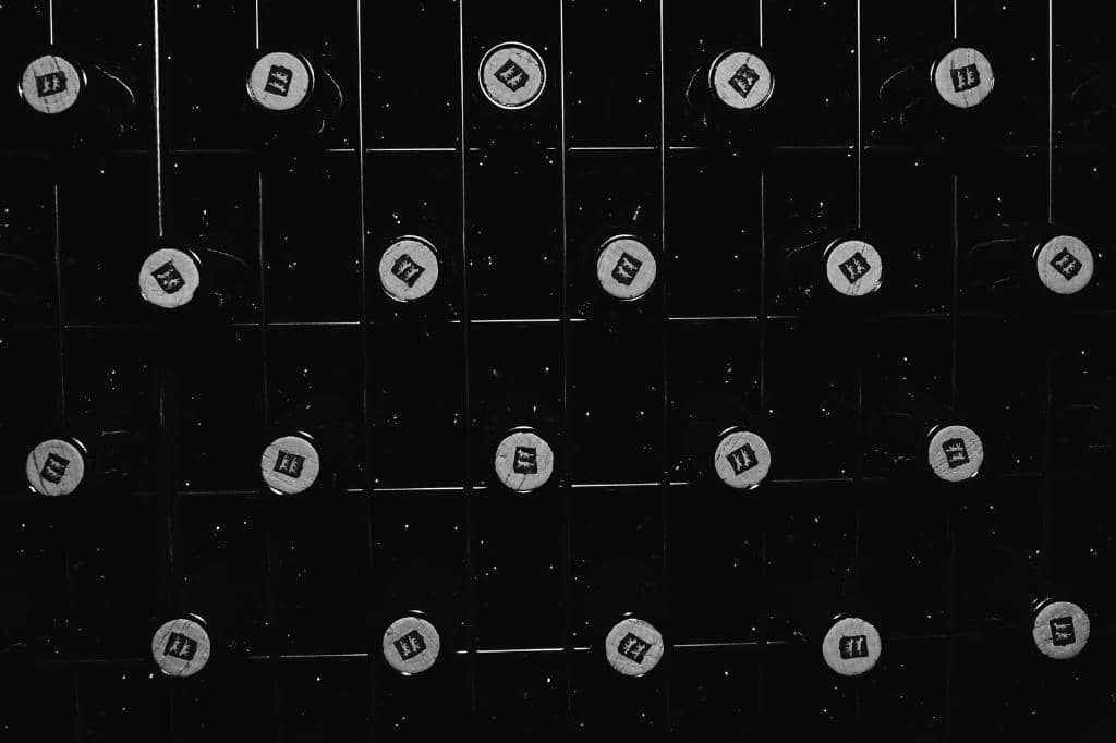 Photography Exhibition