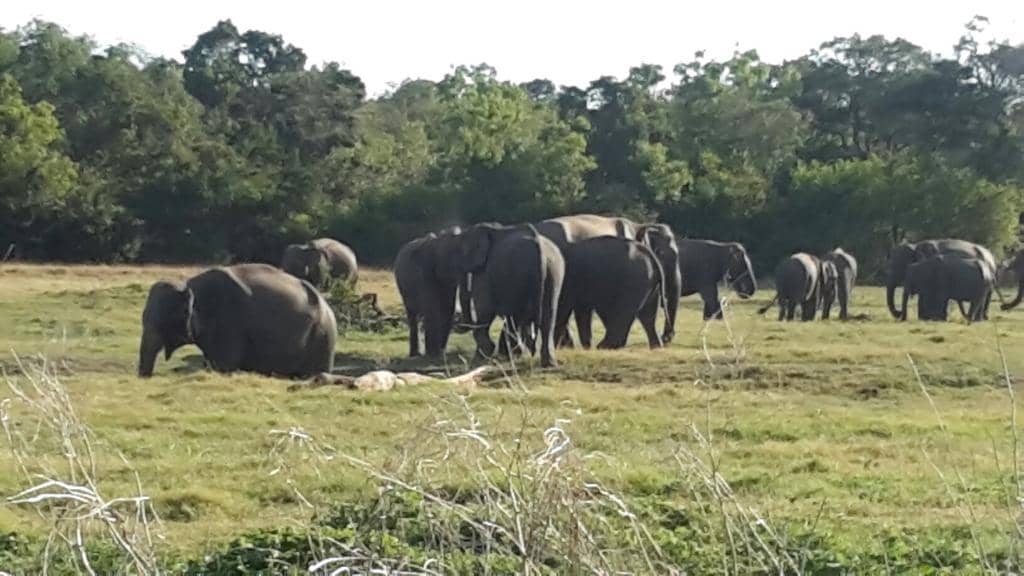 Natural Lakes (Villus)
