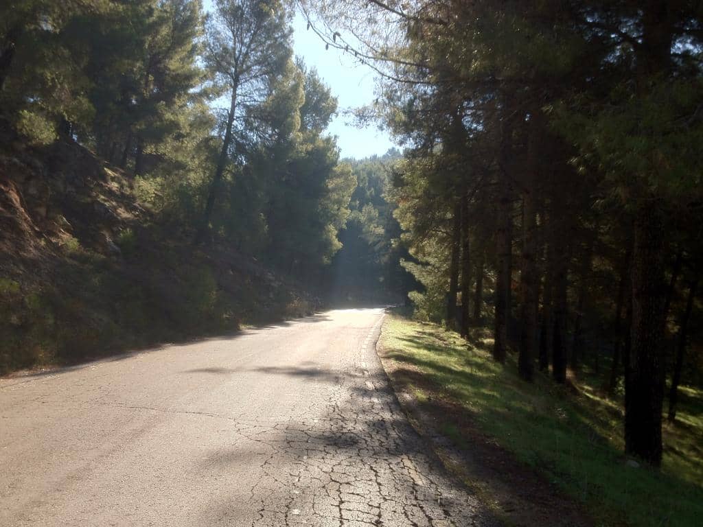 Marked Hiking Trails