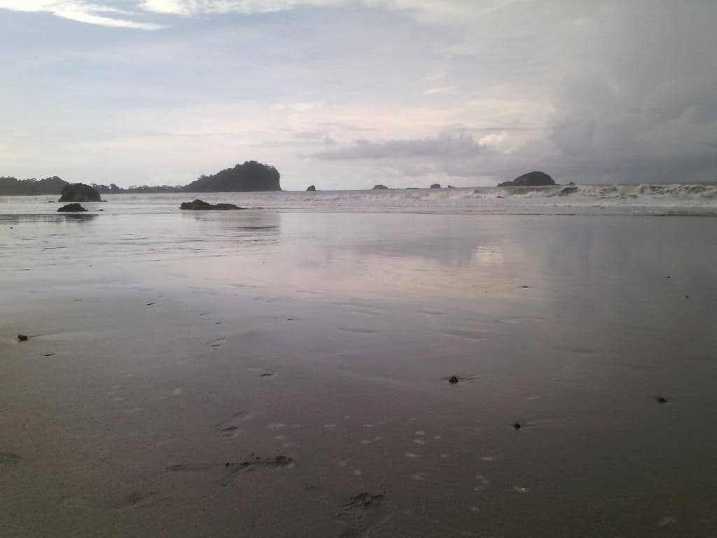 Tide Pool Exploration