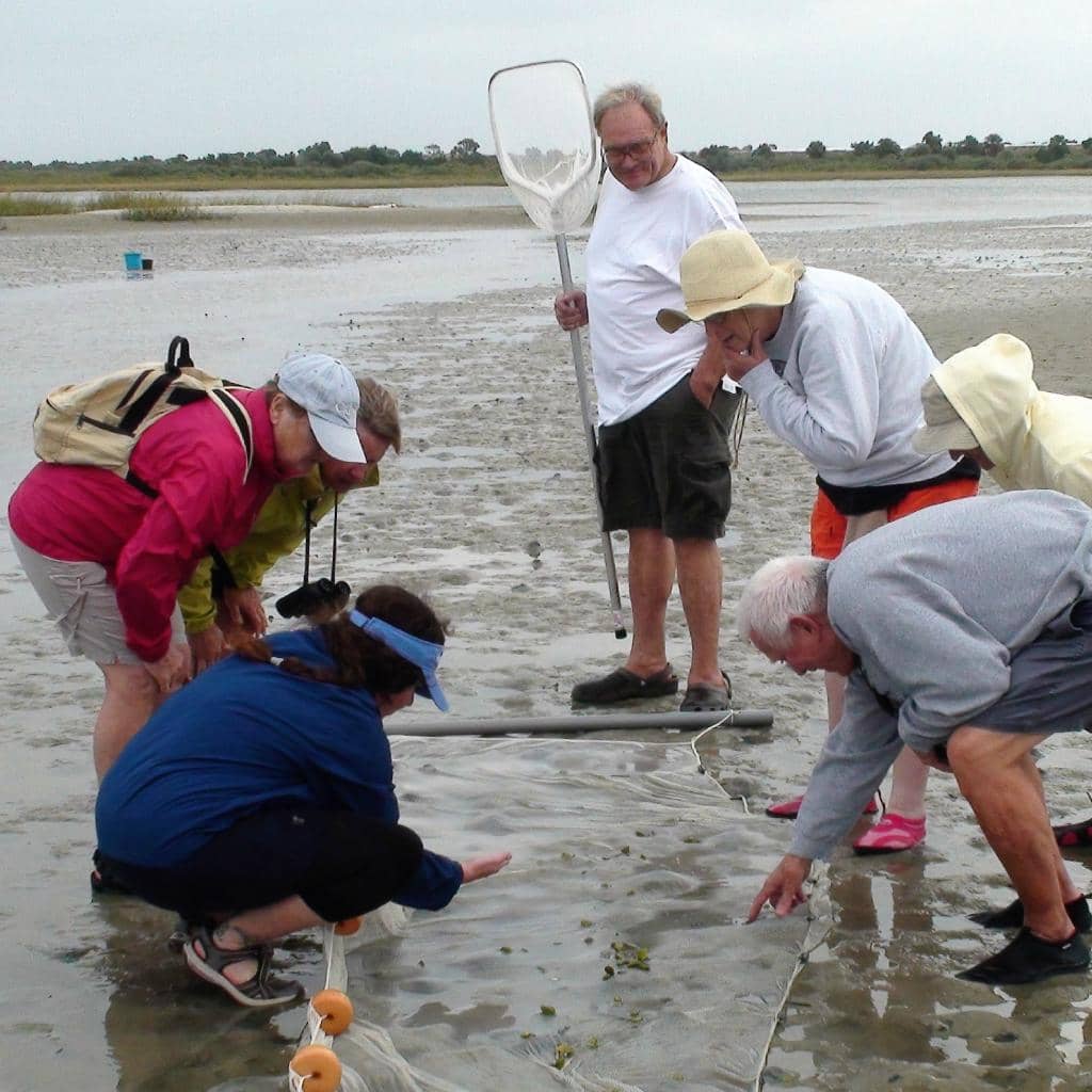 Biodiversity Exhibits
