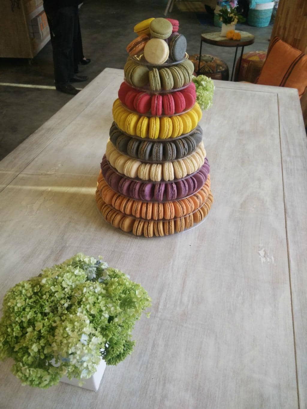 Serene Paddy Field Views