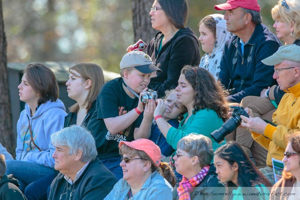 Burrowing Owl Tunnel