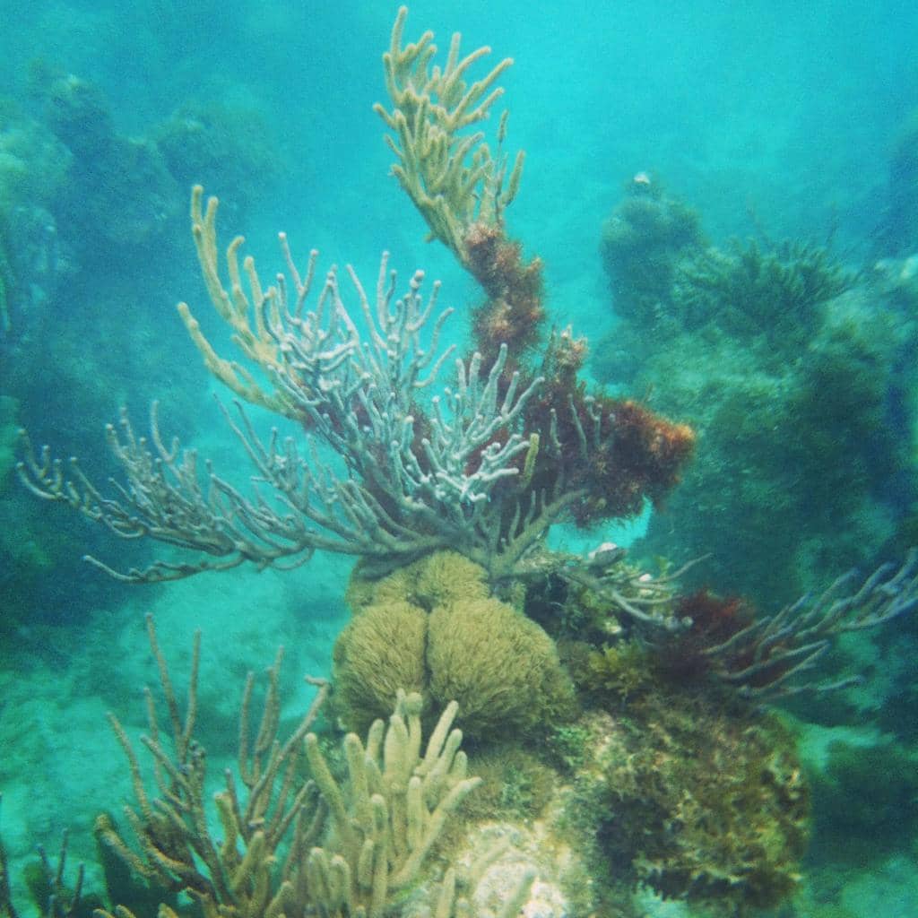 Waterfront Stroll and Views
