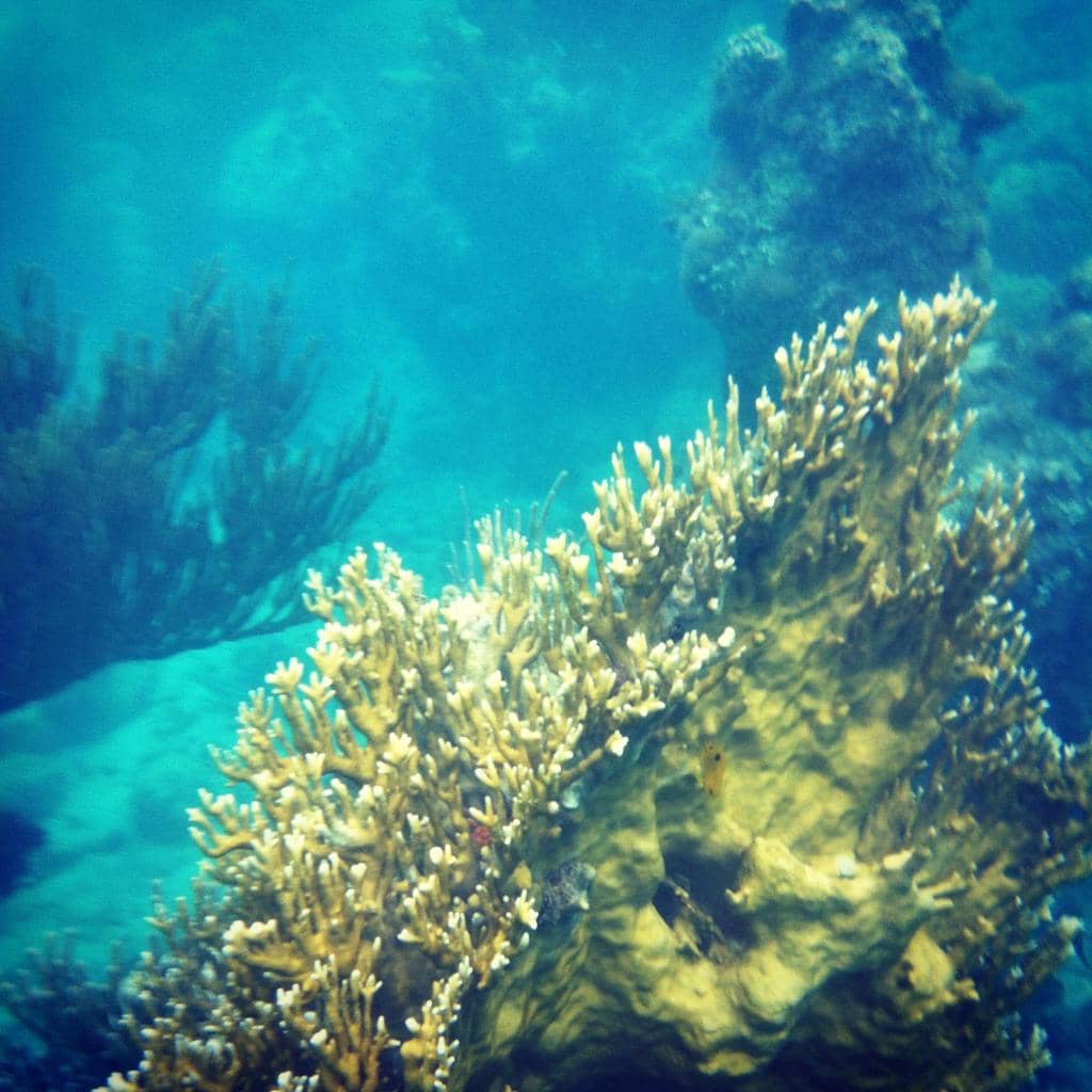 Quaint Shops and Boutiques