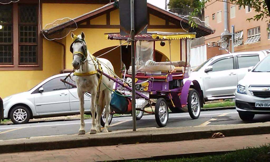 Live Theater Performances