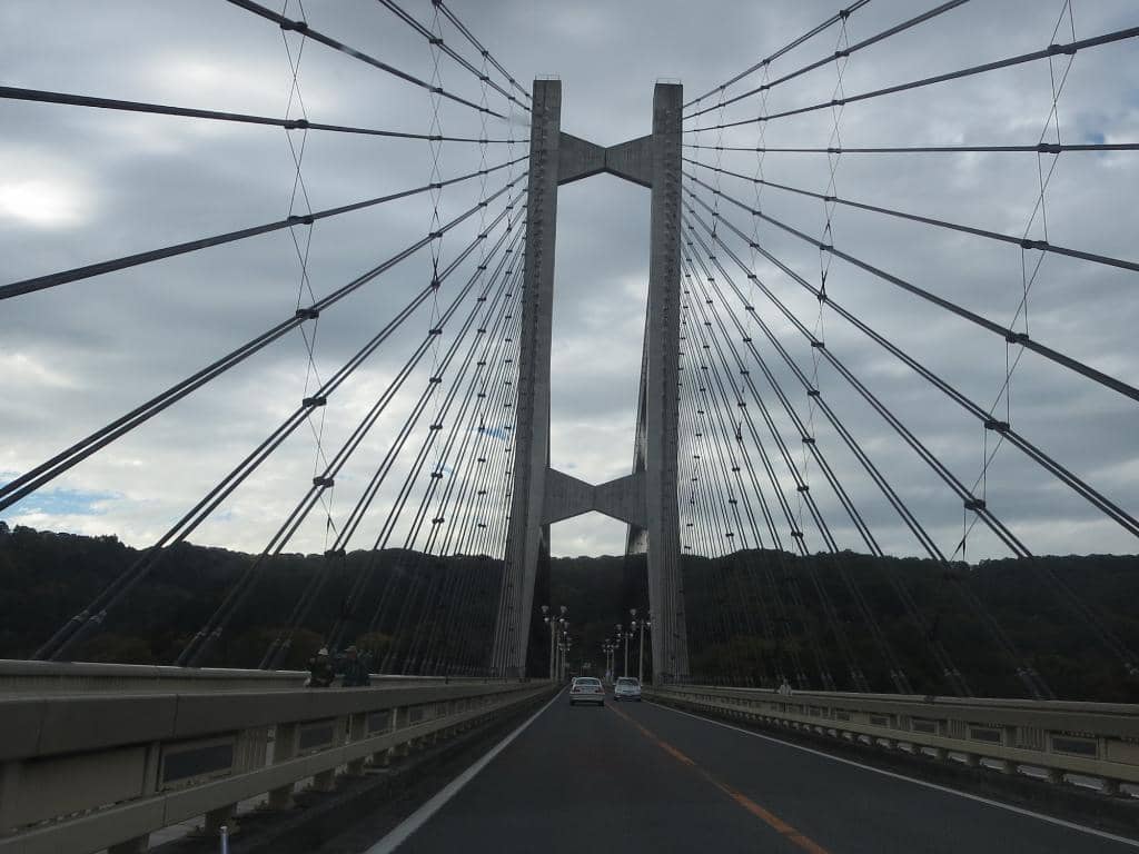 Bike Rentals & Play Areas