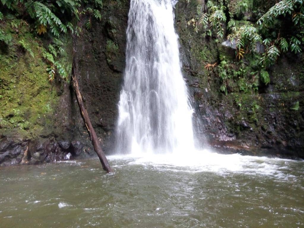 Origin of the Waterfall