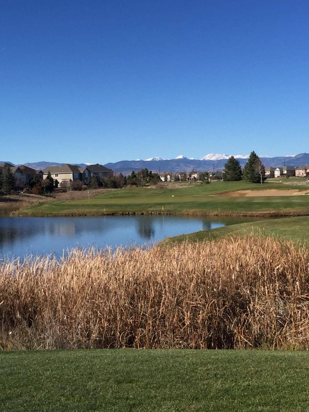 Friendly Pro Shop Staff