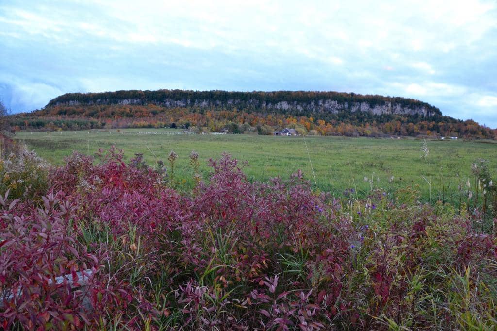 Limestone Cliffs & Caves