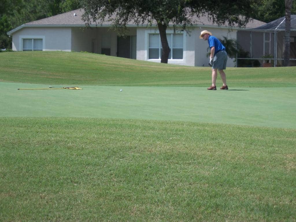Scenic Water Hazards