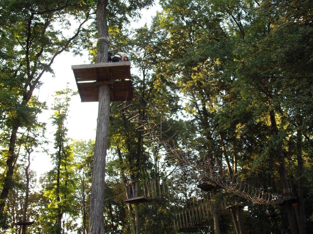 Greenery and Quietude