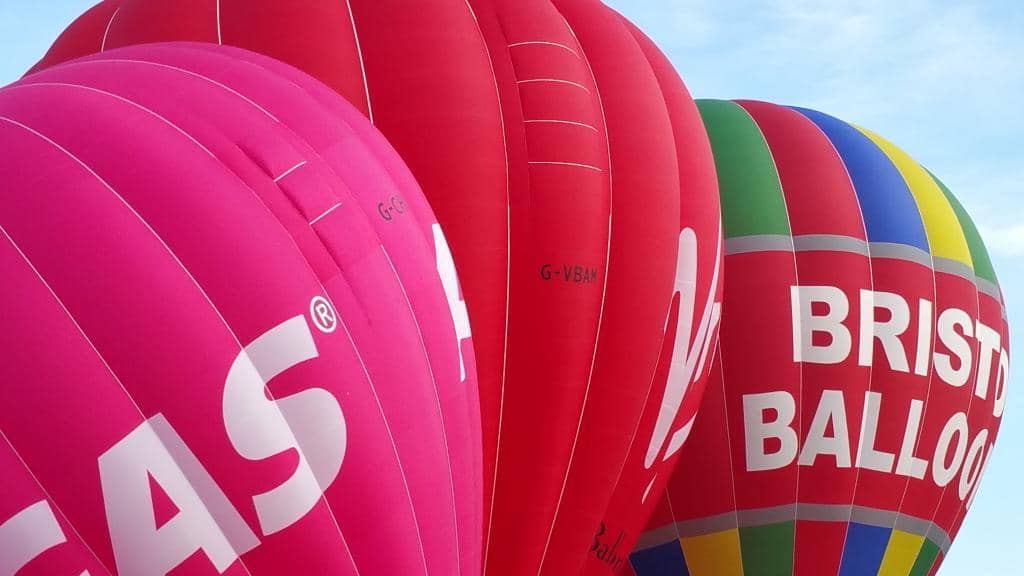 Expansive Estate Walks