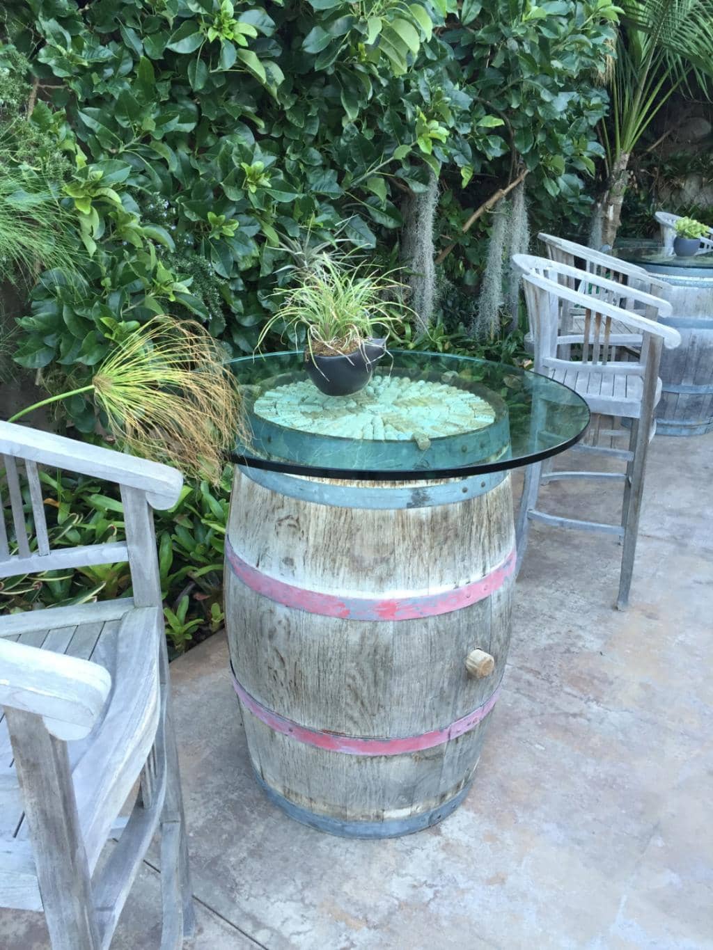 Unique Vineyard Ambiance