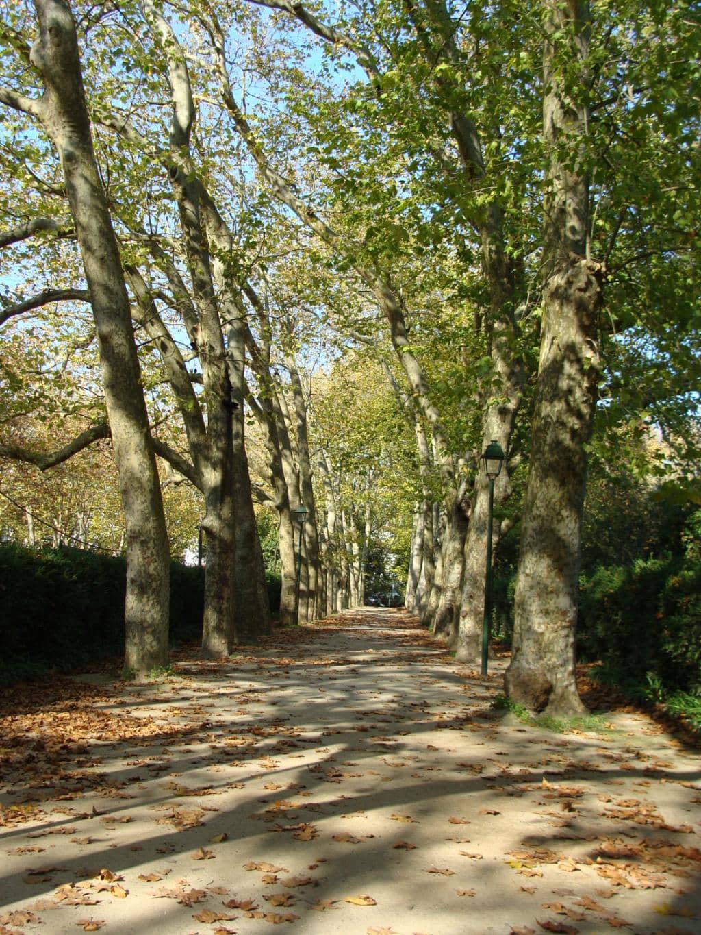Historic Lakeside Building
