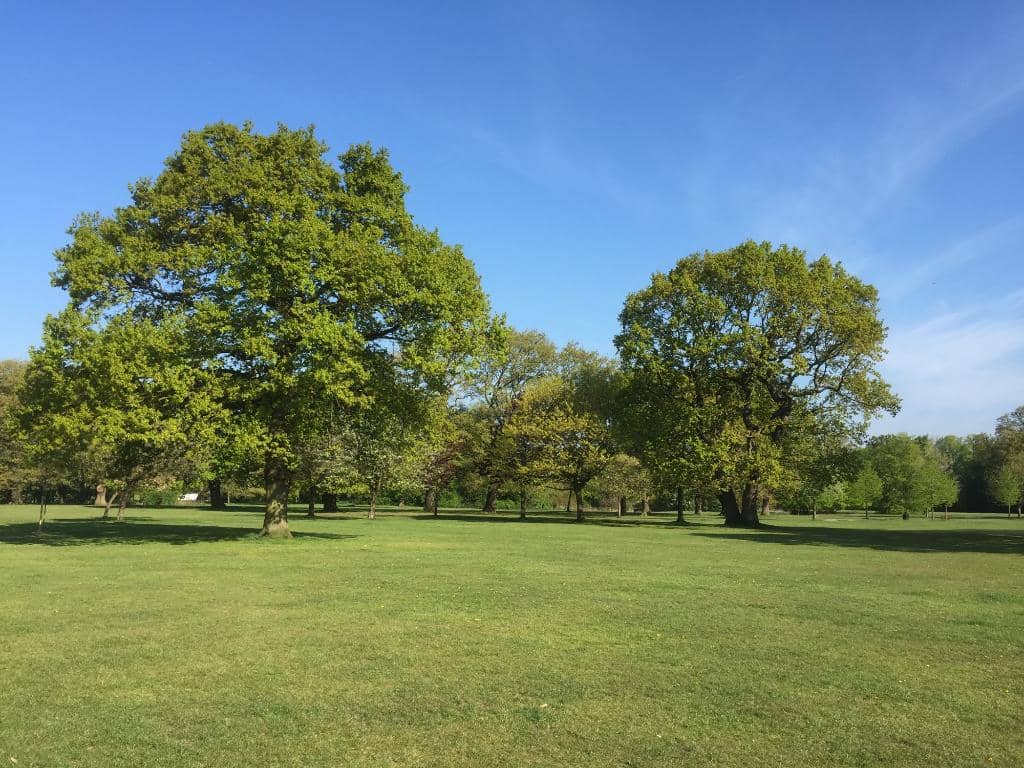 Woodland Walks & River