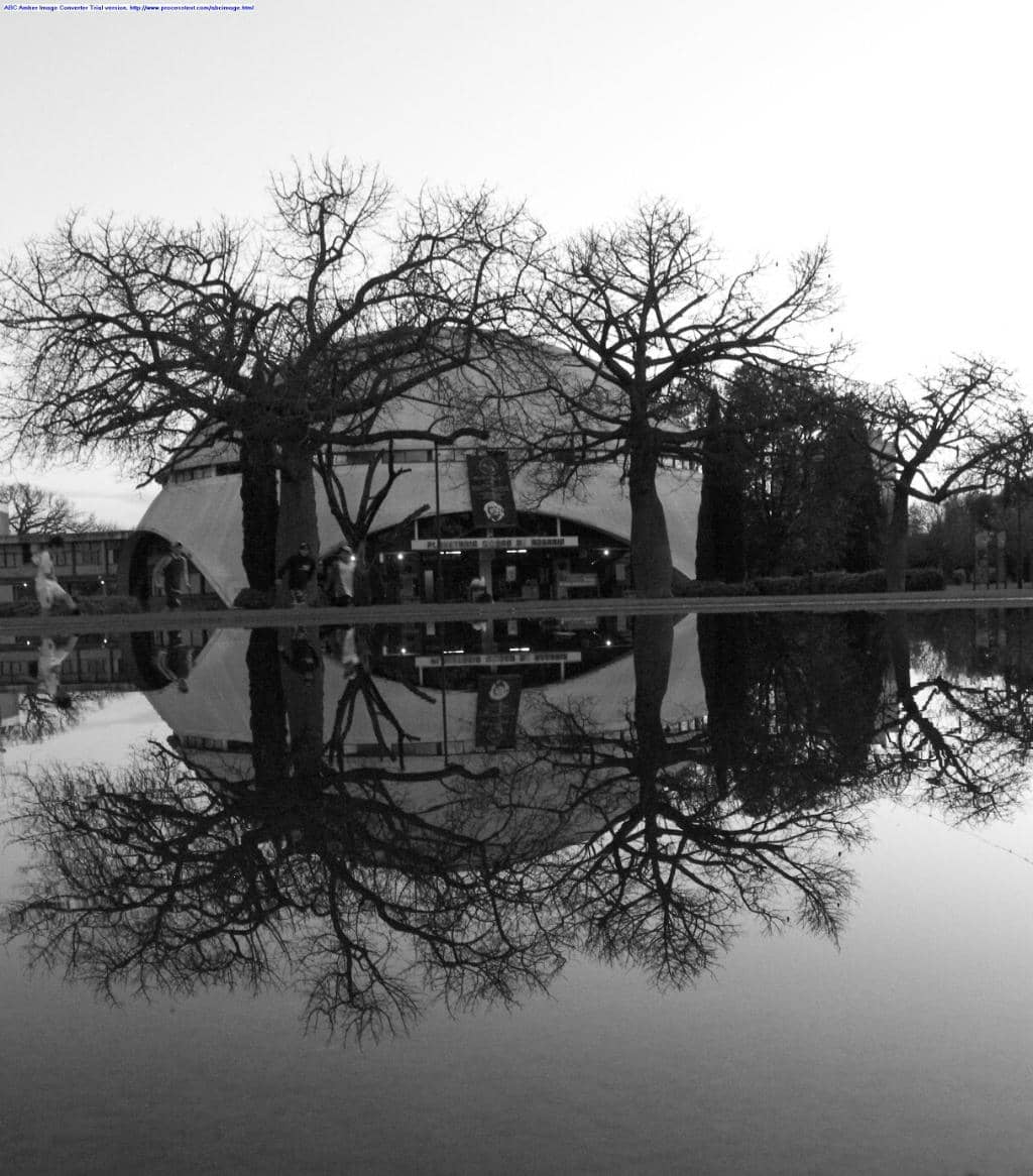 Vertical photo