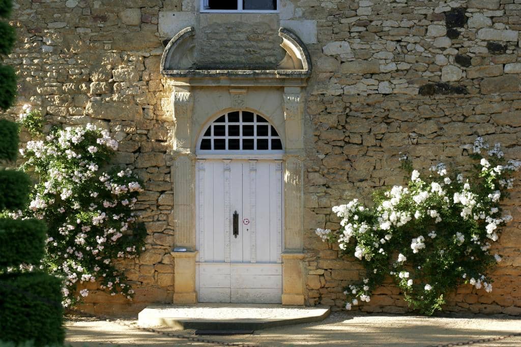 The Tea Room Delights