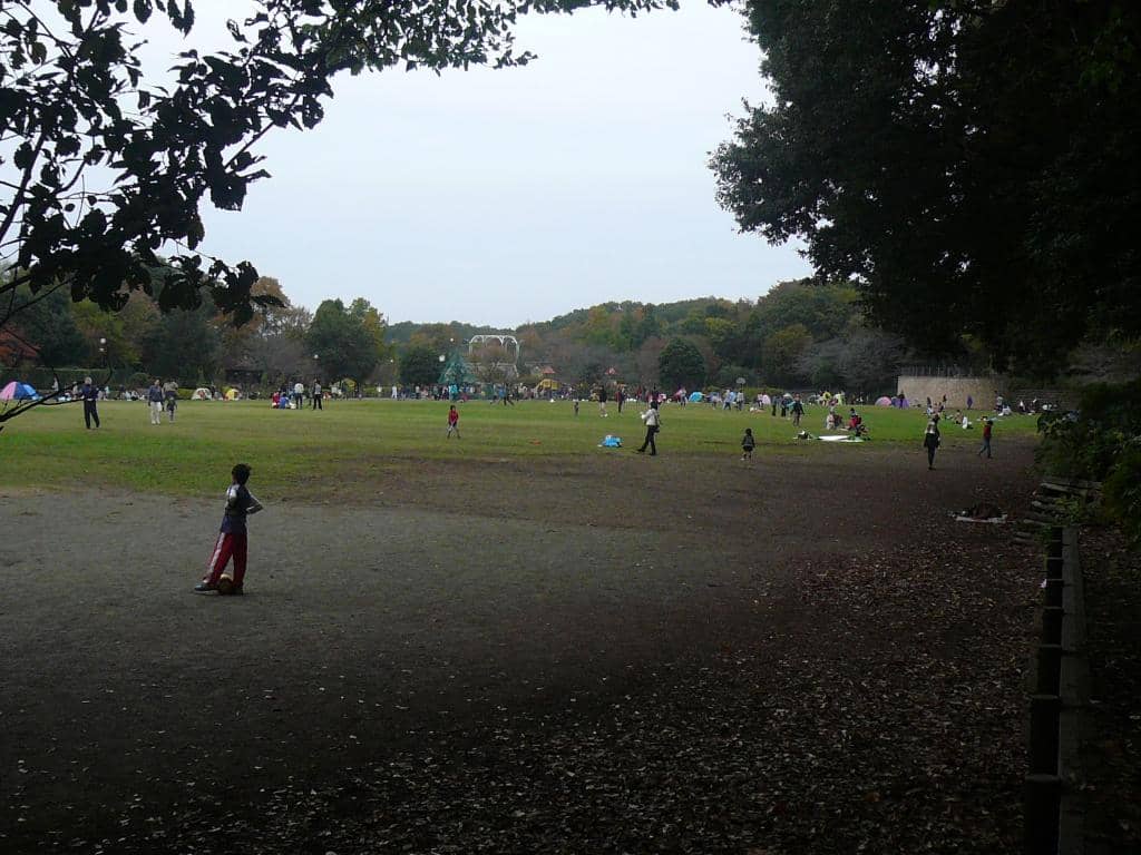 Adventure Playground