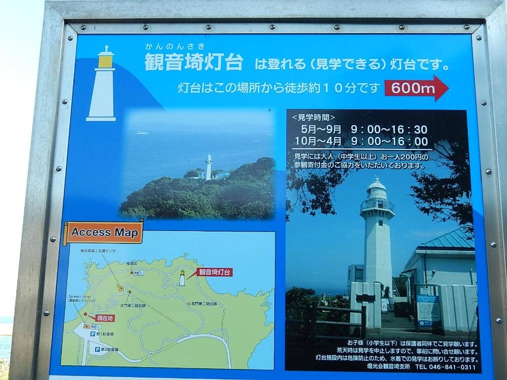 Kawazu Cherry Blossoms