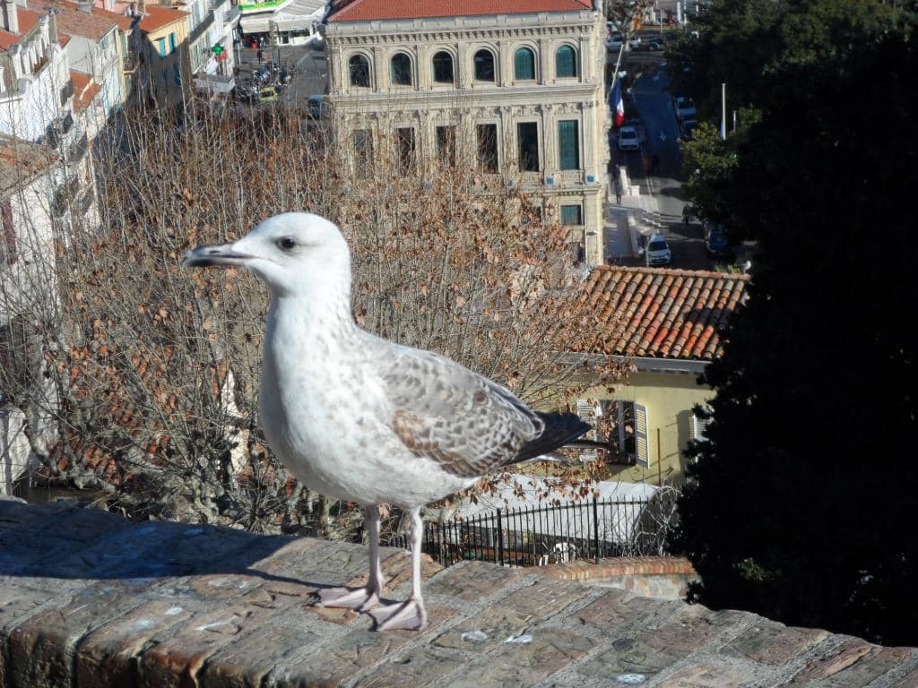 Medieval Tower Architecture