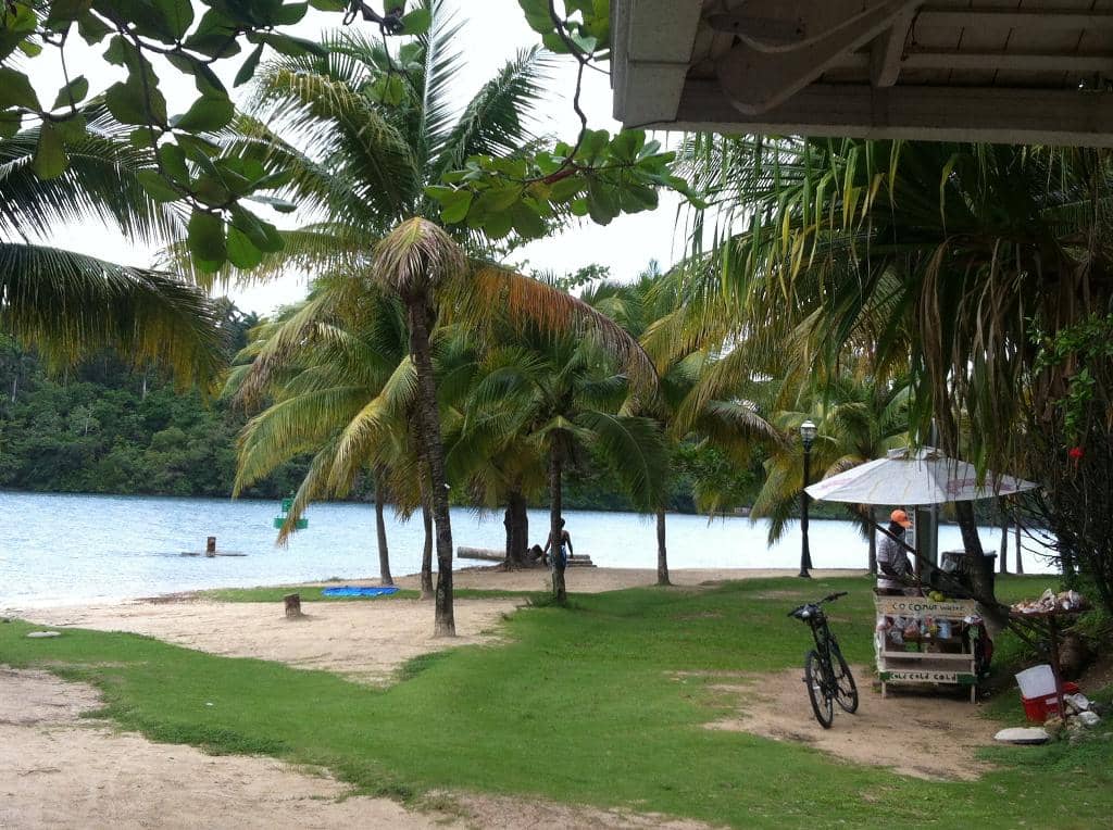 Sea Defence Wall Walk