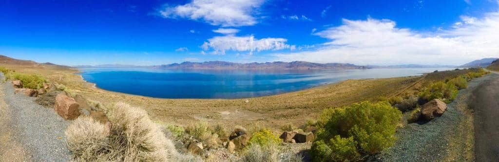 Lahontan Cutthroat Trout