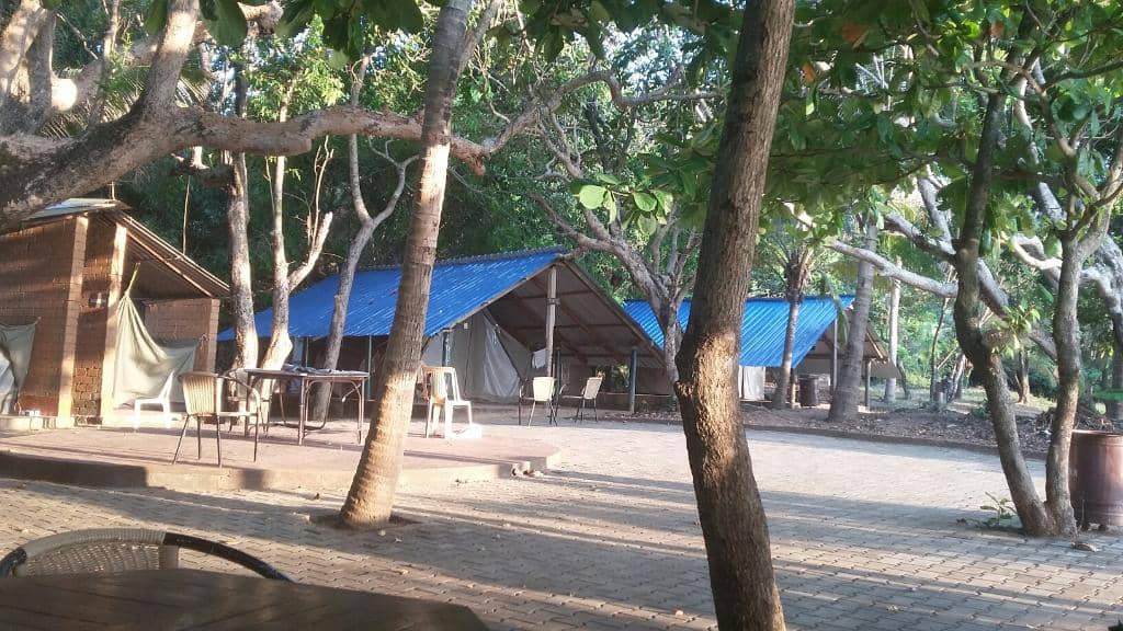 Temple and Lighthouse Views