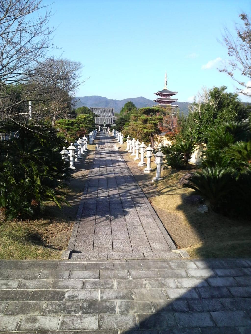 Peaceful Temple Grounds